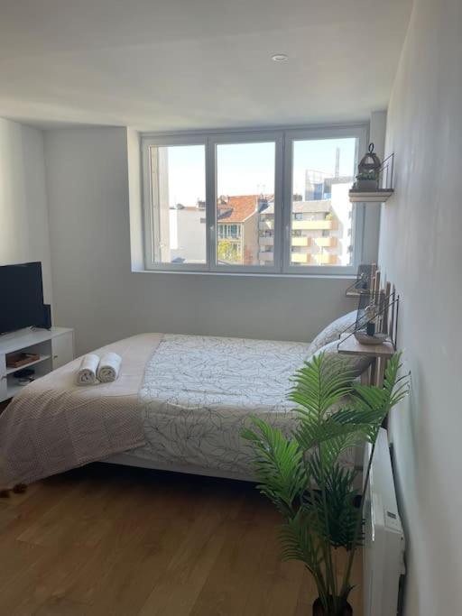Studio Cosy Rue Alexander Taylor, Wifi, 2 Pers Pau Zewnętrze zdjęcie